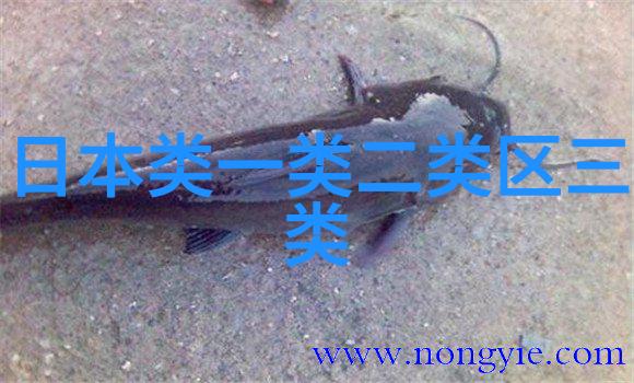 上身胖怎么穿衣夏季胖人最新穿衣搭配技巧(组图)